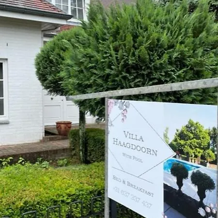 Homestay szállás Haagdoorn Te Achel, 10 Personen, 12 Personen Op Aanvraag, Met Ecologisch Zwembad In Een Oase Van Rust!